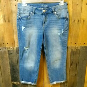 Maurices Jean Capris/Size 8